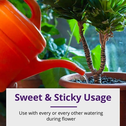 Sweet & Sticky – Carbohydrate and Saccharide Energy Source – Enhance Aroma and Flavor of Plants – Potting Soil for Indoor Plants – Energy for Plants – 32 Ounces