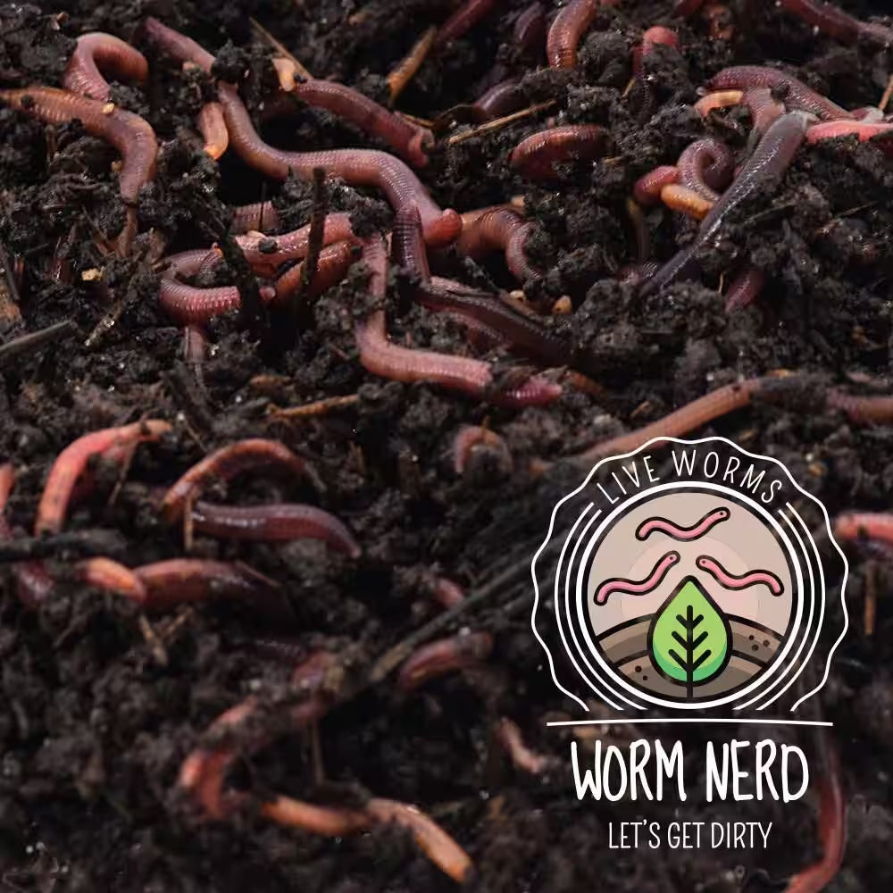 Worm Nerd Live Composting Worm Mix (100 Worms)