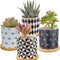 Succulent Plants Pots,Planter Pots Geometry Pots for Plants Flower Pots Indoor&Outdoor Ceramic Plants Pots for Cactus with Drain Hole and Bamboo Tray Set of 4