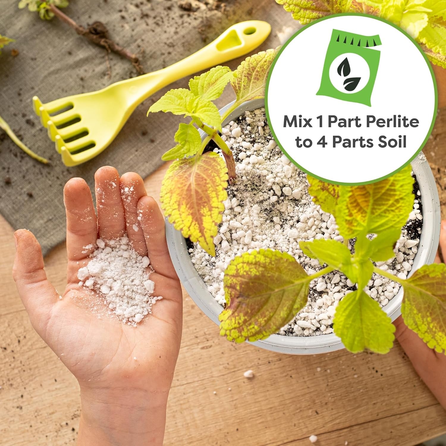 Organic Perlite by  — Add to Soil for Indoor & Outdoor Container Plants for Drainage Management and Enhanced Growth (8Qts.)