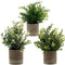 Small Potted Artificial Plants, Artificial Eucalyptus Plants Fake Rosemary 9.5" Plastic Greenery Plants for Home Office Garden Decor, Indoor & Outdoor, Set of 3 (White)