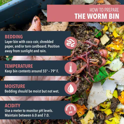 Worm Nerd Live Composting Worm Mix (100 Worms)