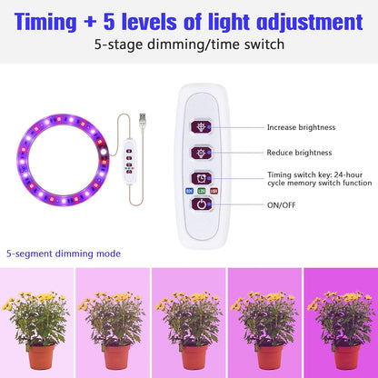 Grow Lights for Indoor Plants, 5 Dimmable Levels Plant Light Red Blue Full Spectrum LED Grow Light USB Angel Ring Grow Lamp Hydroponic Seeding Plant Growing Lamps, 8/12/16H Timer (4 Ring)