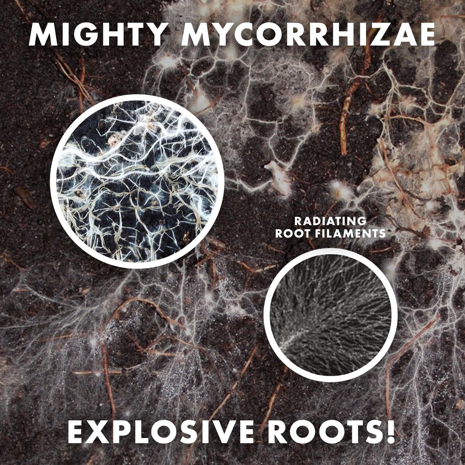 Mycorrhizae 16 Species Inoculant (5 Oz) Improves Drought Tolerance + Saves Precious Water + Fertilizer, Root Stimulator • Explodes Root Growth [5 Oz Treats 6,000 (4 Inch) Plants]