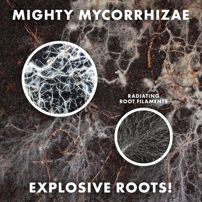 Mycorrhizae 16 Species Inoculant (5 Oz) Improves Drought Tolerance + Saves Precious Water + Fertilizer, Root Stimulator • Explodes Root Growth [5 Oz Treats 6,000 (4 Inch) Plants]