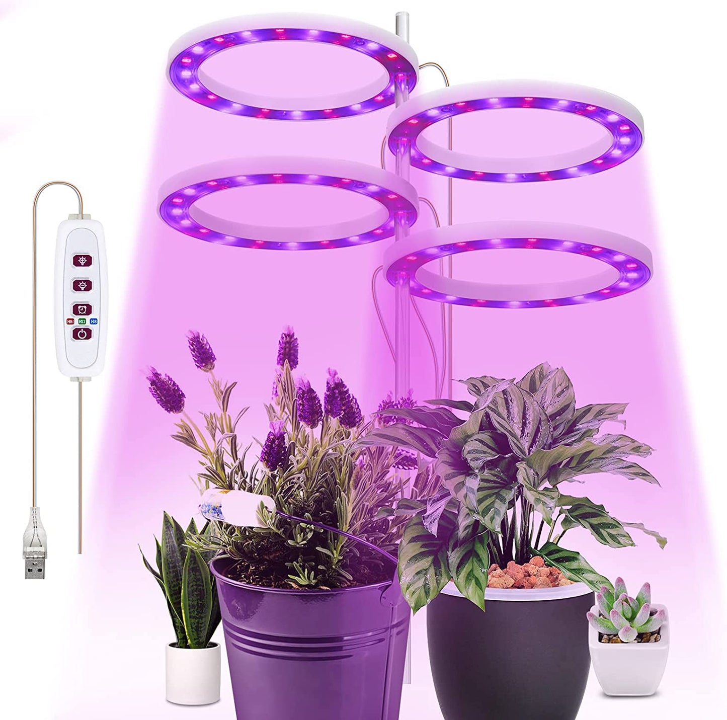 Grow Lights for Indoor Plants, 5 Dimmable Levels Plant Light Red Blue Full Spectrum LED Grow Light USB Angel Ring Grow Lamp Hydroponic Seeding Plant Growing Lamps, 8/12/16H Timer (4 Ring)