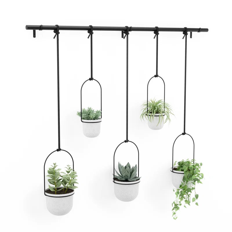 Hanging Planter