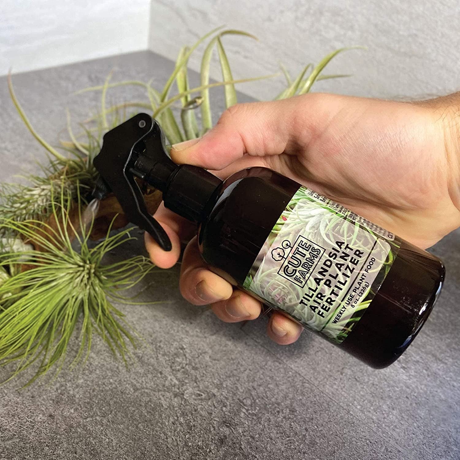 Tillandsia Air Plant Fertilizer | Gentle Weekly Use Formula Plant Food with Care Guide | Formulated Nutrients for Air Plants (Two - 8 Oz. Spray Bottle)