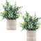 2 Pack Small Fake Plants Eucalyptus Potted Artificial Plants for Shelf Desk Home Bathroom Farmhouse Room Coffee Table Decor (Sage Green)