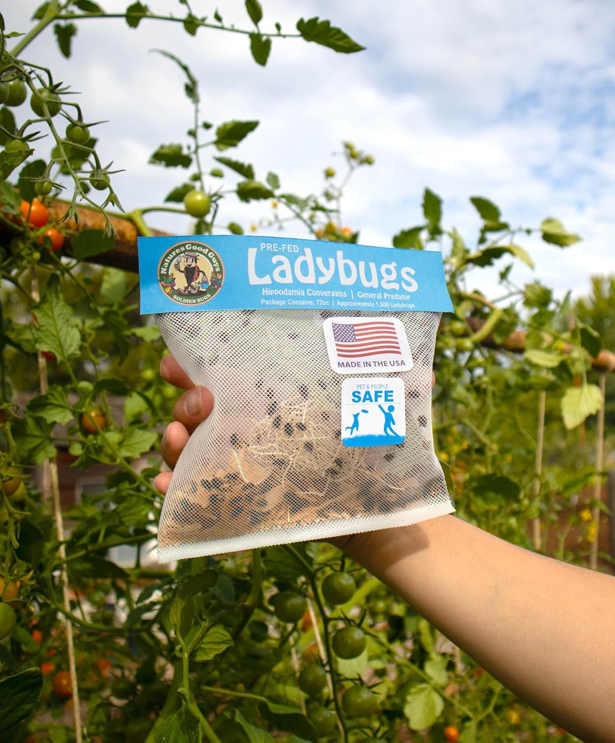 - Live Ladybugs (150 Live Ladybugs)