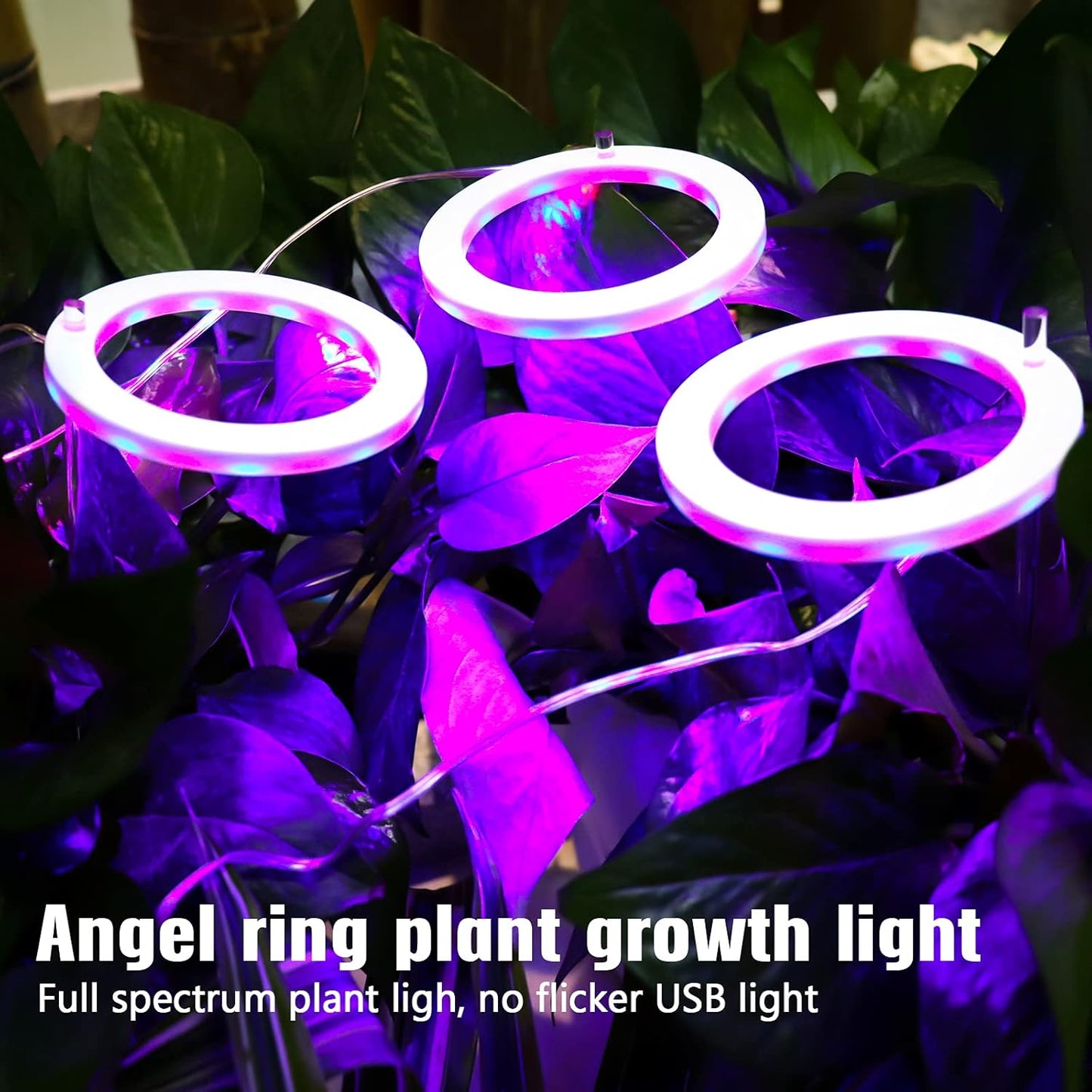 Grow Lights for Indoor Plants, 5 Dimmable Levels Plant Light Red Blue Full Spectrum LED Grow Light USB Angel Ring Grow Lamp Hydroponic Seeding Plant Growing Lamps, 8/12/16H Timer (4 Ring)