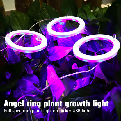 Grow Lights for Indoor Plants, 5 Dimmable Levels Plant Light Red Blue Full Spectrum LED Grow Light USB Angel Ring Grow Lamp Hydroponic Seeding Plant Growing Lamps, 8/12/16H Timer (4 Ring)