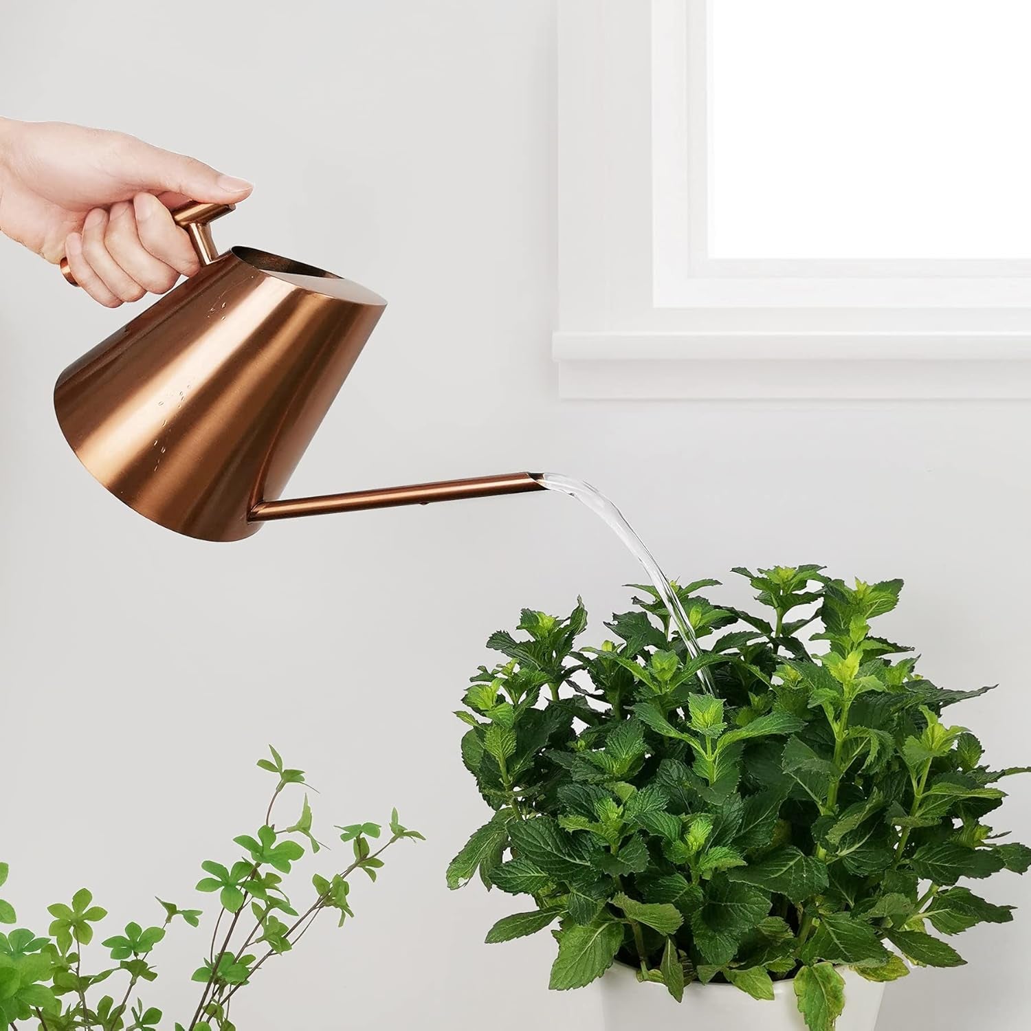 Copper Watering Can Indoor Plants - Small Stainless Water Can with Long Straight Spout, Metal Watering Pot for House Bonsai & Flowers, Copper (30OZ)