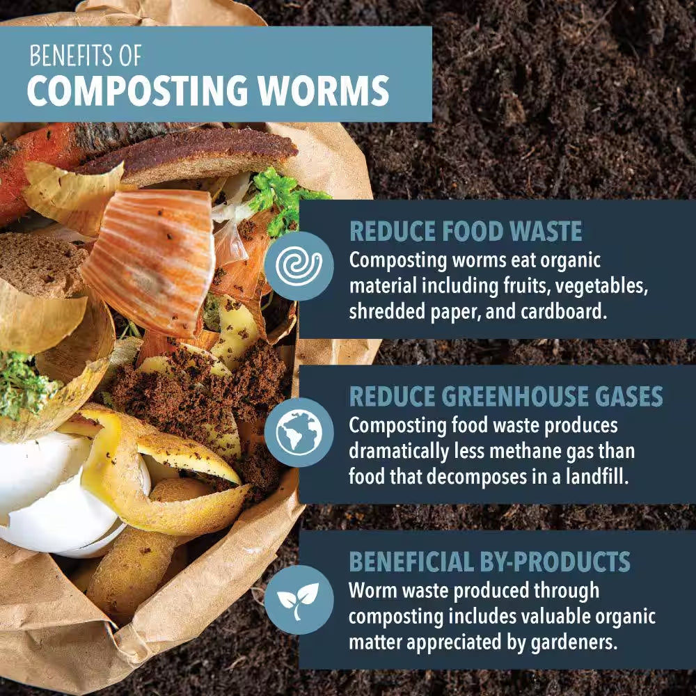 Worm Nerd Live Composting Worm Mix (100 Worms)