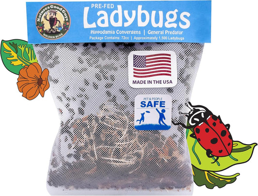 - Live Ladybugs (150 Live Ladybugs)