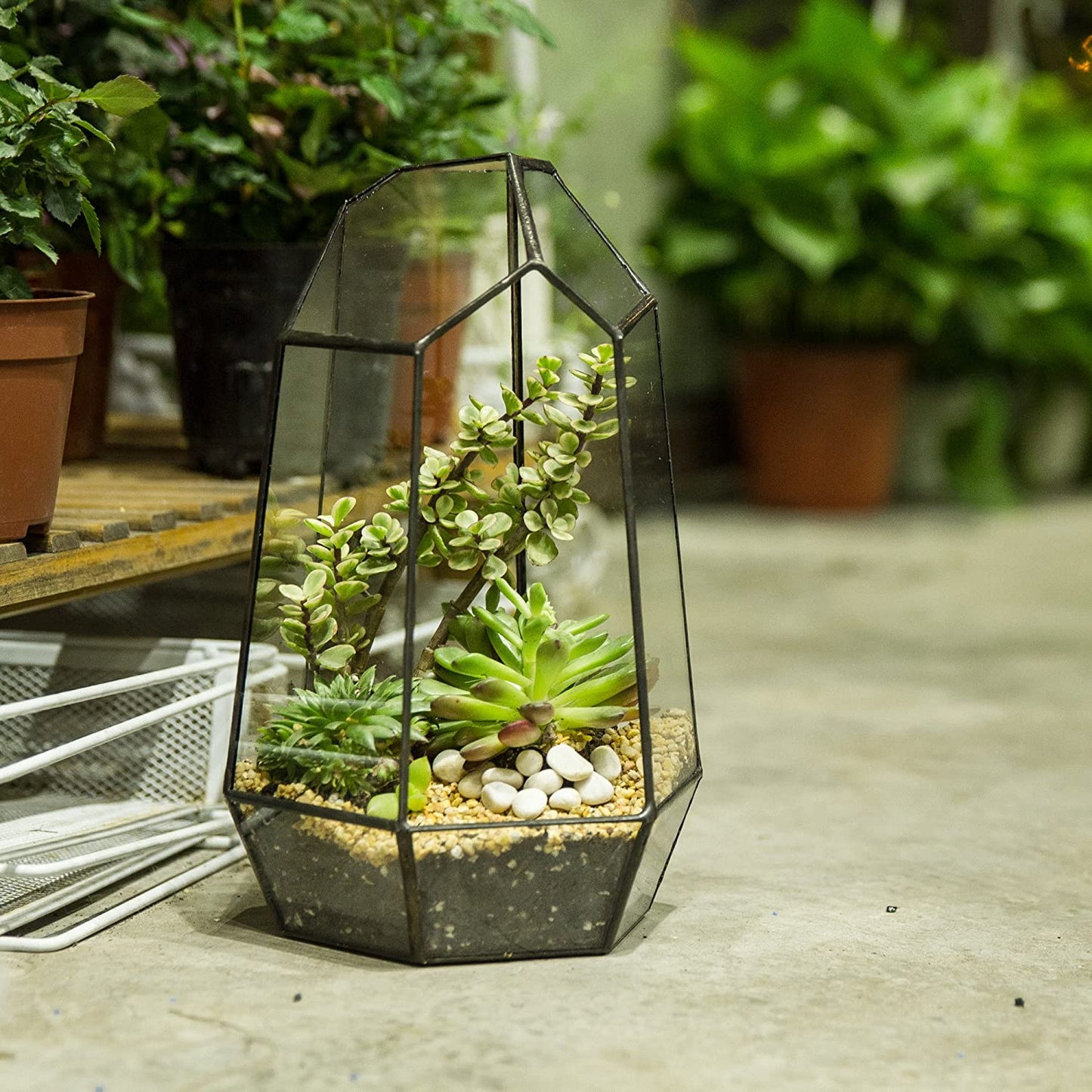 Geometric Glass Terrarium Planter for Succulent, Small Cacti - 6.5" X 5.7" X 9.8" Black Irregular Opened Container Pot, Indoor Home Garden Office Tabletop Decor (No Plants, No Door)