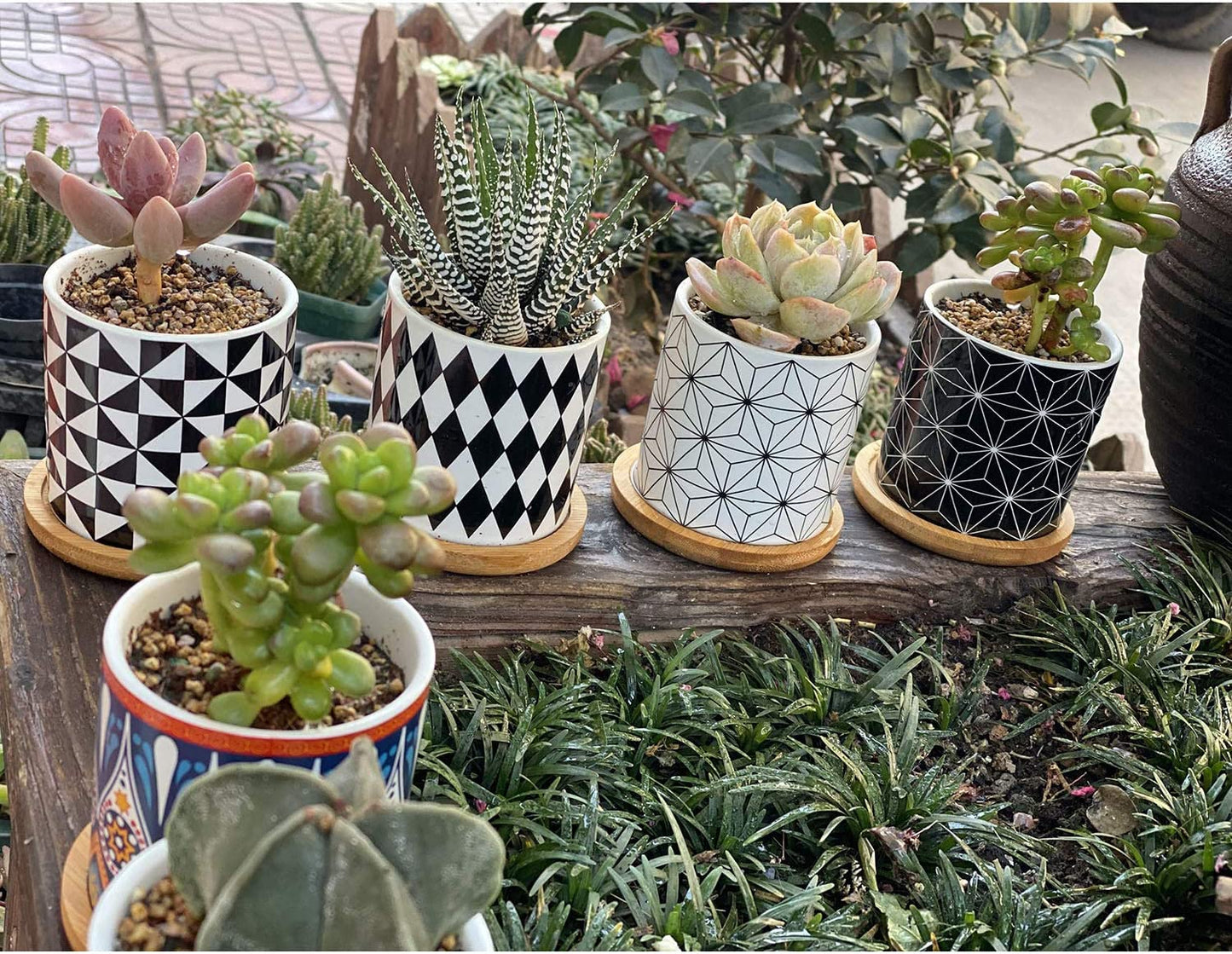 Succulent Plants Pots,Planter Pots Geometry Pots for Plants Flower Pots Indoor&Outdoor Ceramic Plants Pots for Cactus with Drain Hole and Bamboo Tray Set of 4