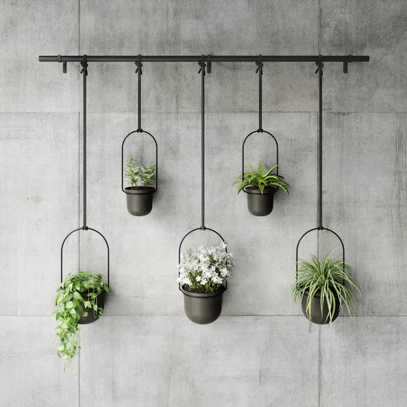 Hanging Planter