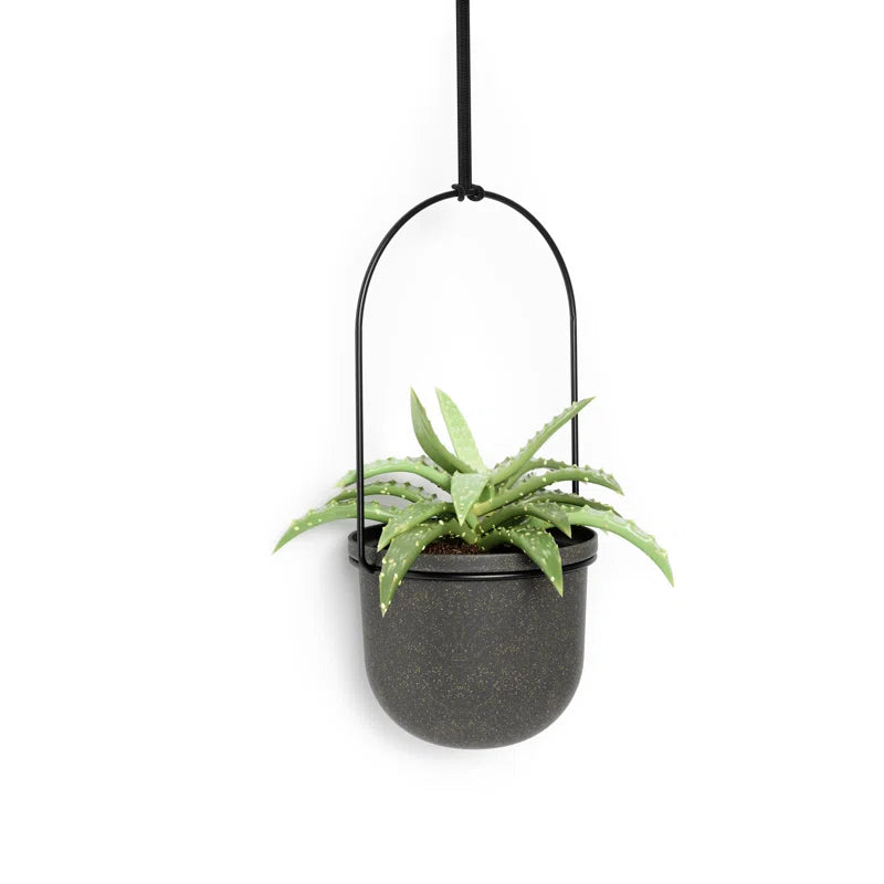 Hanging Planter