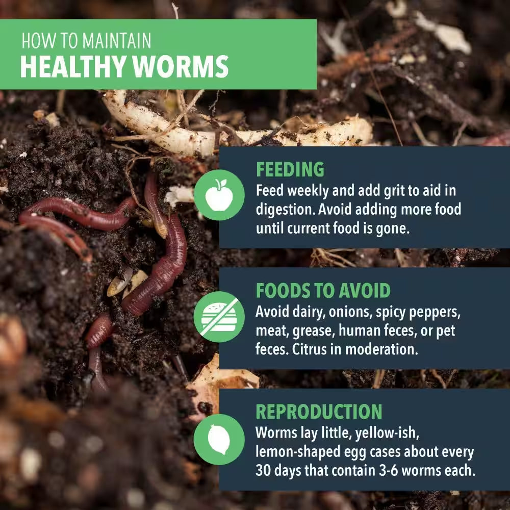 Worm Nerd Live Composting Worm Mix (100 Worms)